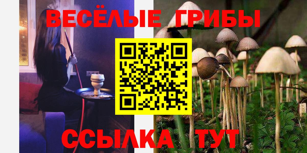 Гусиноозёрск  Псилоцибиновые грибы мухоморы  Вход с VPN 